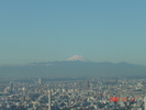 サムネイル：富士山