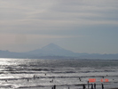 サムネイル：富士山